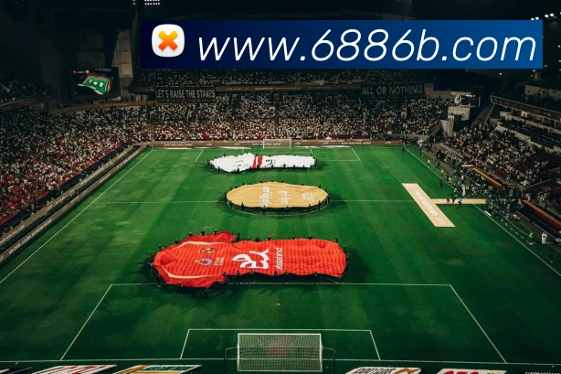6686APP 封面图